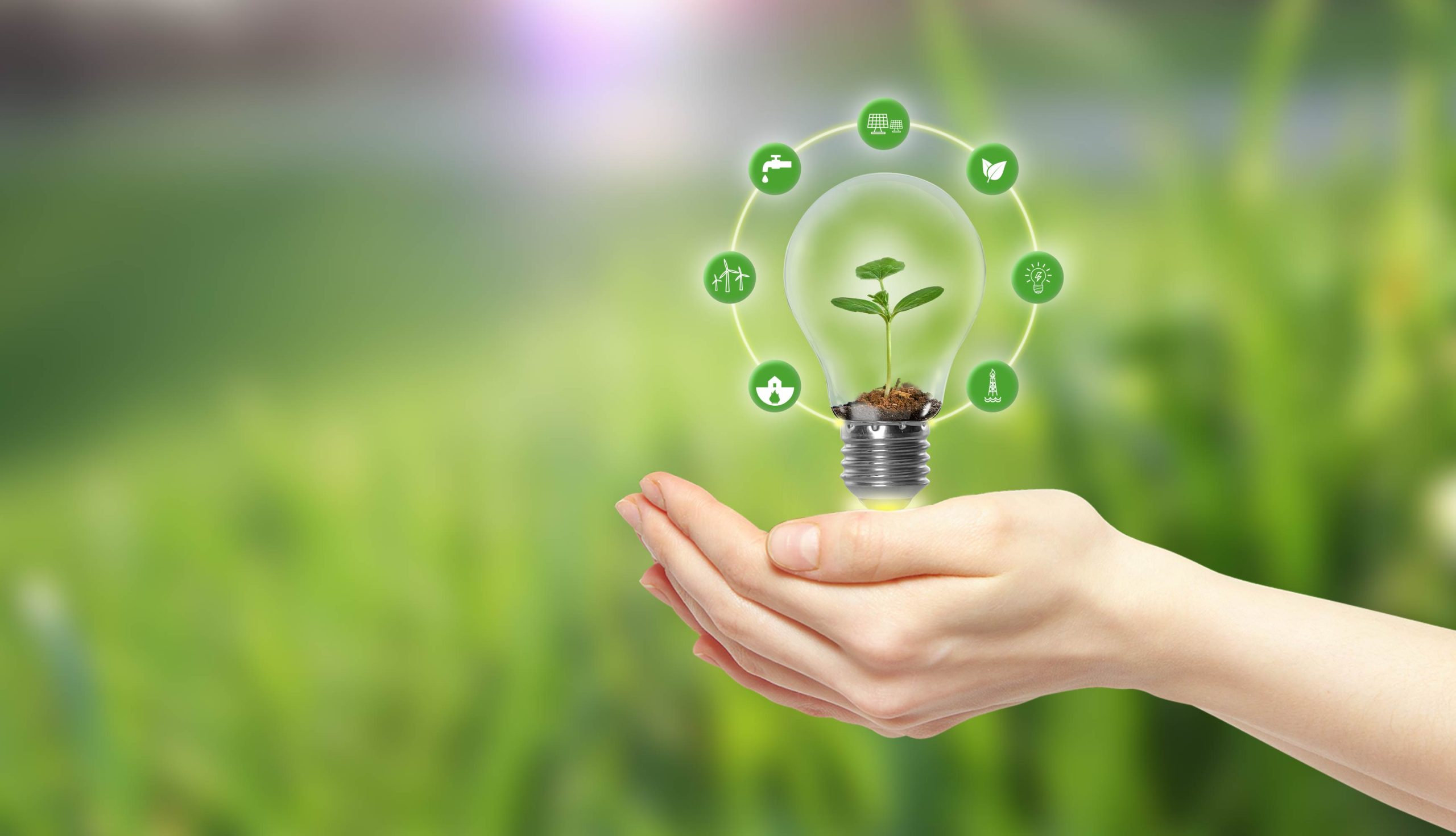 Sustitución a LED, mejoras en climatización, reducción de agua