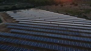 Parque fotovoltaico Protur Natura