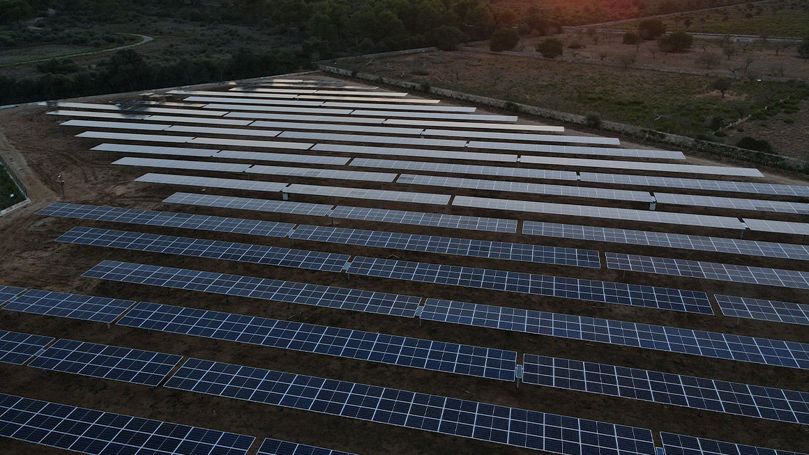 Parque fotovoltaico Protur Natura