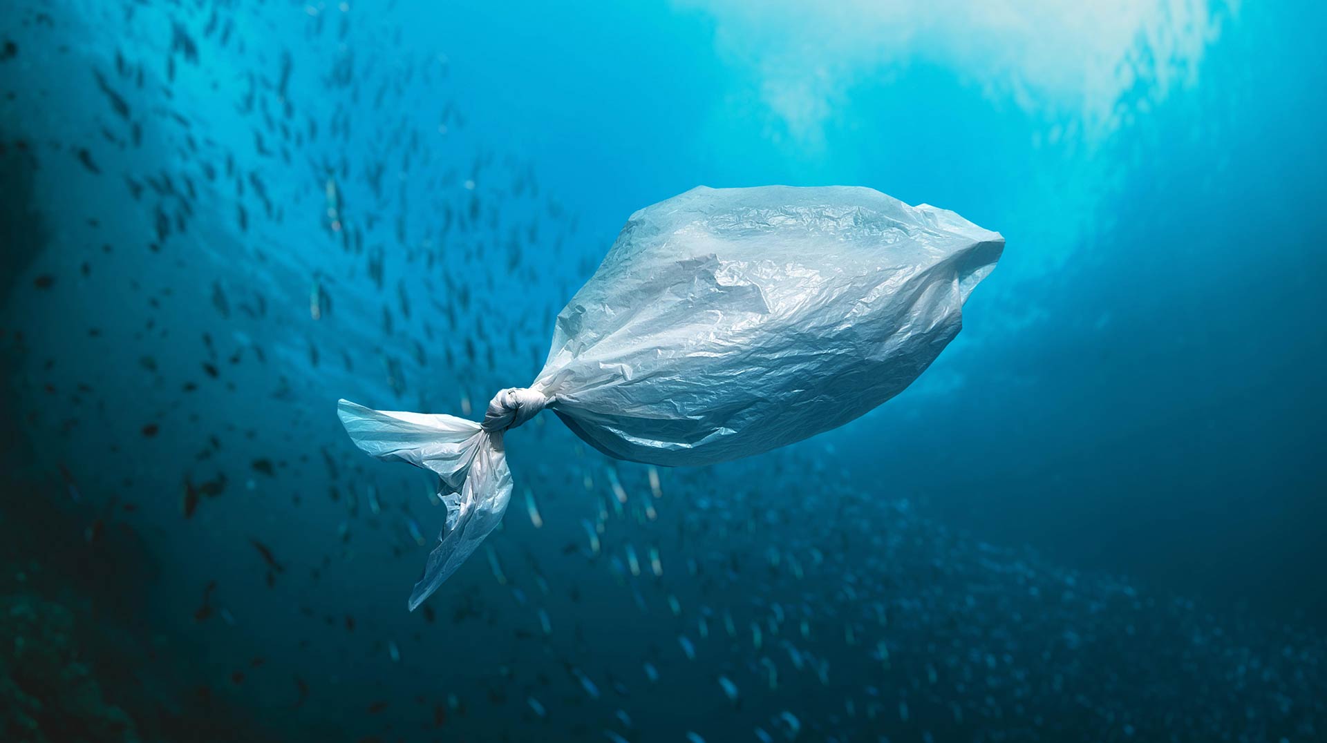 Eliminación de plásticpos de un solo uso habitaciones hotel Protur Hotels